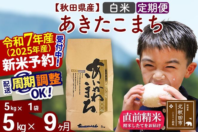 ※令和7年産 新米予約※《定期便9ヶ月》秋田県産 あきたこまち 5kg【白米】(5kg小分け袋) 2025年産 お届け周期調整可能 隔月に調整OK お米 藤岡農産|foap-10309