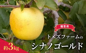 シナノゴールド（贈答用） 約3kg（8玉〜12玉入り）トメズファーム　りんご　長野　果物　フルーツ