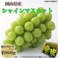 ぶどう 2026年 先行予約 【平均糖度20度】農家こだわりの シャインマスカット ご家庭用パック 合計約800g ブドウ 葡萄 岡山県産 国産 フルーツ 果物 ギフト 【 Nini farm 農家 直送 】