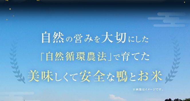 【ふるさと納税】「但馬鴨」鴨鍋セット（小） 3～4人前 鴨鍋 カモ鍋 かも鍋 鴨 鴨肉 合鴨肉ロース もも モモ肉 鴨ガラ 鴨出汁 但馬鴨 つくね 鍋 セット お取り寄せ 冷凍 国産 【配送不可地域：離島】【1537900】 兵庫県 新温泉町 送料無料