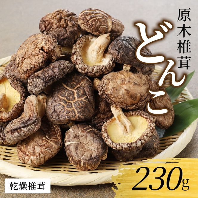 乾燥椎茸どんこ230g N0128-YA3365