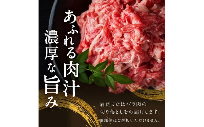 【A9-018】訳アリ！【A4-A5ランク】博多和牛切り落とし 1kg