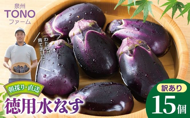 099H4539 【先行予約】朝採り直送 徳用水なす 15個 訳あり 規格外