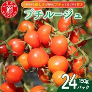 ミニ トマト プチルージュ 150g × 24パック 野菜 やさい 新鮮 旬の野菜 産地直送 高糖度 甘い プチ フルーツ ソース ジュース ケチャップ に