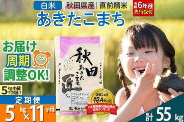 【白米】＜令和6年産 予約＞ 《定期便11ヶ月》秋田県産 あきたこまち 5kg (5kg×1袋)×11回 5キロ お米【お届け周期調整 隔月お届けも可】|02_snk-010311s