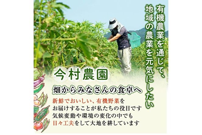 a992 《訳あり》《先行予約受付中！2026年12月上旬～2027年3月上旬の間に発送予定》有機人参 (10kg)【今村農園】姶良市 国産 有機栽培 有機 野菜 やさい にんじん ニンジン 訳アリ