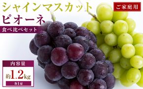 ご家庭用　シャインマスカット+ピオーネ食べ比べセット　約1.2kg(各1房) 372013_T006-828J