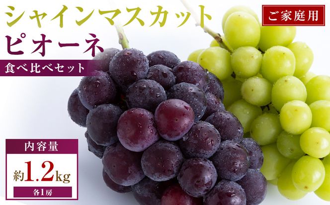 ご家庭用　シャインマスカット+ピオーネ食べ比べセット　約1.2kg(各1房) 372013_T006-828J