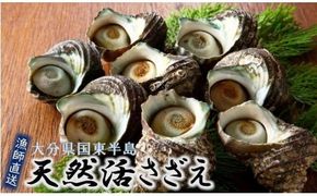 漁師直送!天然活さざえ1.3kg_1067R