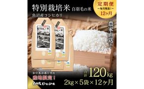 【通年受付】≪令和8年産≫【定期便／全12回】農家直送！魚沼産コシヒカリ特別栽培「白羽毛の米」精米(2kg×5袋)×12回 120kg お米