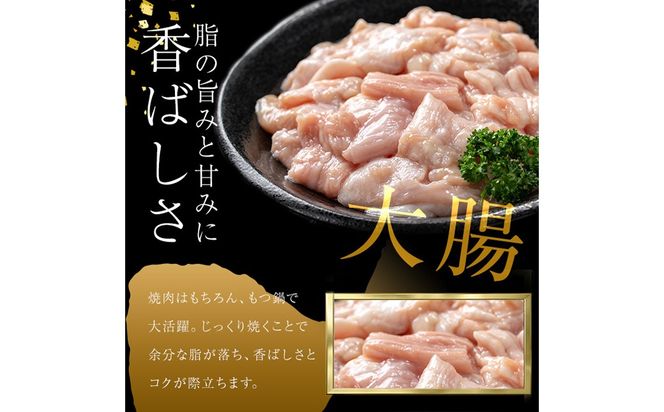 うしの中山 A4・A5等級黒毛和牛 ホルモン（大腸） 計1kg（500g×2袋）a5-347