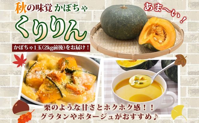 R8年産 先行受付 南瓜 くりりん じゃがいも 計10kg 2026年9月下旬よりお届け ホクホク 甘い 栗 ホクホク 産地直送 お取り寄せ 国産 小野寺農園 北海道 洞爺湖町
