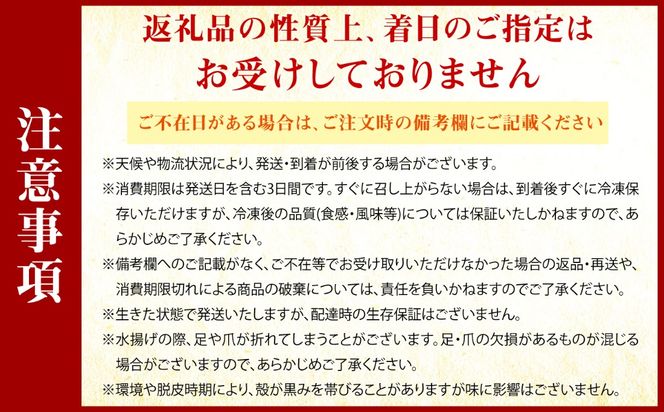 【先行予約】【2026年11月下旬以降順次発送】新鮮 活モクズガニ 2kg (10〜24杯前後) オス メス セット《築上町》【明青丸】 蟹 カニ カニ味噌[ABCB006]