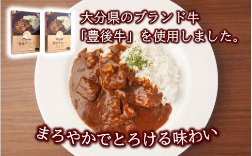 おおいた豊後牛カレー2箱セット_2454R