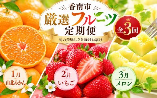 フルーツ 定期便 山北みかん いちご めろん 青肉 柑橘系 甘い 苺 蜜柑 果物 セット 詰め合わせ 人気 旬 国産 新鮮 厳選 ３ヶ月 数量限定 ギフト Wky-14