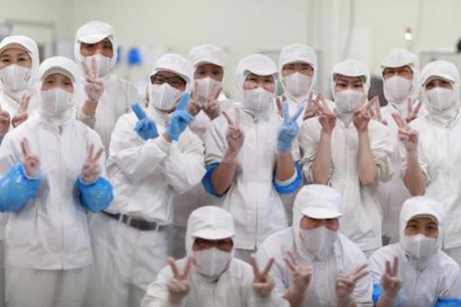 BJ002 岩崎本舗 【2回定期便】 長崎角煮まんじゅう 6個入 (袋) [長崎県 島原市]