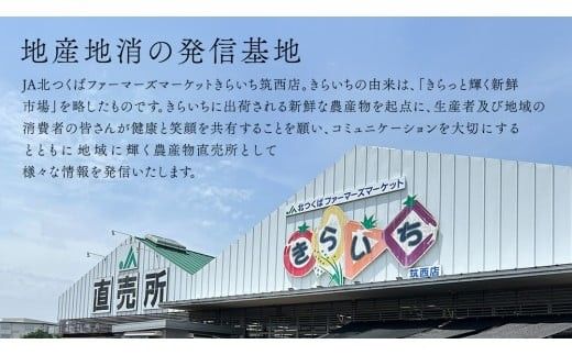 【 厳選 4部位 】至福 の ローズポーク 定期便 ( 選べる コース ) ブランド豚 銘柄豚 豚肉 豚 肉 お肉 にく ロース 生姜焼き しゃぶしゃぶ 焼肉 バーベキュー 厚切り とんかつ ポークソテー トンテキ ギフト 贈答 贈り物 茨城県産 茨城県共通返礼品 [AE081ci00]