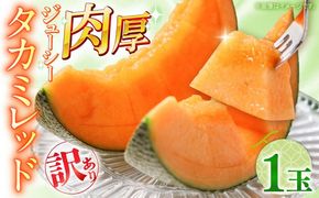 【2026年5月〜発送】訳あり タカミメロン レッド 1玉 / メロン めろん フルーツ 果物 / 南島原市 / 南島原果物屋[SCV034]