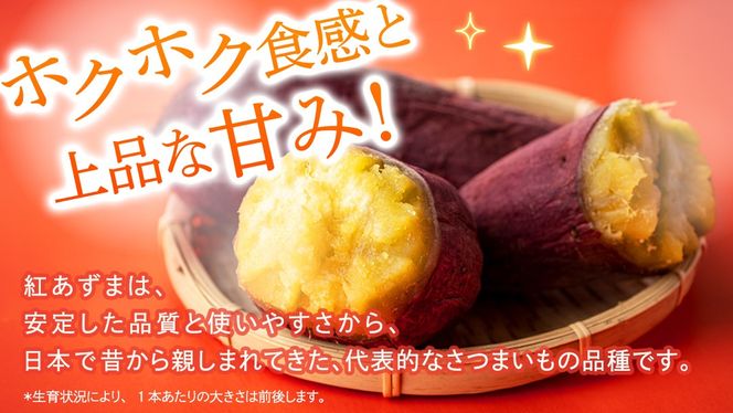 ＼選べる発送方法／ 紅あずま 約 2.5kg （茨城県共通返礼品 [さつまいも]：行方市産） 単品（1回）・定期便（3回 / 6回） さつまいも サツマイモ べにあずま 芋 いも 野菜 根菜  茨城県産 お取り寄せ 野菜 根菜 いも