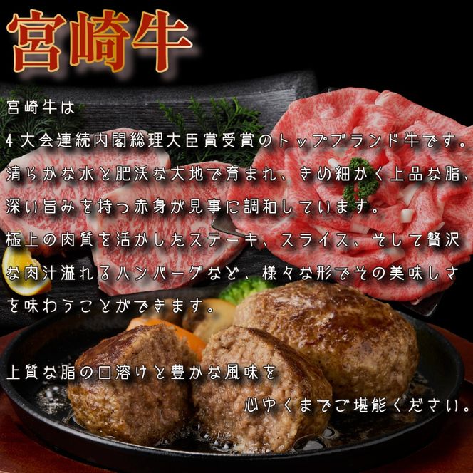 【定期便・全11回】日本一宮崎牛と小林市の魅力満載!!! 小林満足ワクワク定期便 30万円コース（国産 牛肉 国産牛 黒毛和牛 マンゴー お菓子 豚肉 鶏肉 キャビア 定期便）