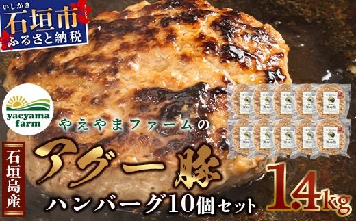 石垣島産 やえやまファームのアグ―豚（南ぬ豚）ハンバーグ10個セット E-8-1