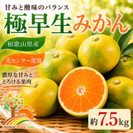 【先行予約】こだわりの極早生みかん 約7.5kg 農家直送 有機質肥料100% サイズ混合 ｜ みかん 極早生 早生 柑橘 果物 くだもの 果実 フルーツ 和歌山 有田