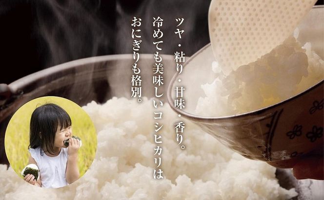 【無地熨斗】 棚田米 魚沼産 コシヒカリ 5kg 新潟県 十日町市 松代地区 限定 棚田 こしひかり （お米屋秘伝！美味しいご飯の炊き方ガイド付き） 精米 ブランド米 銘柄米 