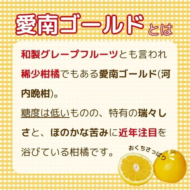 贈答用 愛南ゴールド（河内晩柑） 7kg 10000円 柑橘  みかん mikan 蜜柑 ミカン 愛南ゴールド 国産 特産品 ギフト プレゼント お中元 果物 柑橘 おいしい 甘い 前田ファーム 愛南町 愛媛