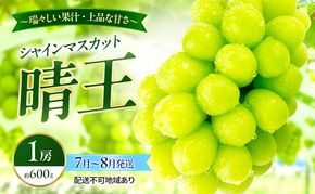 ぶどう 2026年 先行予約 シャインマスカット 晴王 1房 約600g 7月～8月発送 岡山県産 種無し 皮ごと食べる みずみずしい 甘い 温室栽培 晴れの国 おかやま 果物大国 満天フルーツ