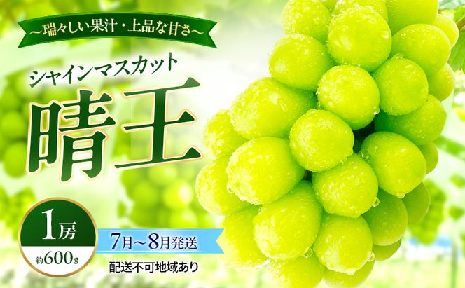 ぶどう 2026年 先行予約 シャインマスカット 晴王 1房 約600g 7月～8月発送 岡山県産 種無し 皮ごと食べる みずみずしい 甘い 温室栽培 晴れの国 おかやま 果物大国 満天フルーツ