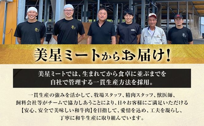 【定期便 2回 毎月届く】美星和牛 サーロインステーキ 各回約400g（約200g×2枚） 牛肉 岡山県 里庄町 送料無料