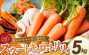 〈予約受付〉メディア出演多数！【期間限定】鈴盛農園の甘～いにんじん スウィートキャロットリリィ 5kg H022-013