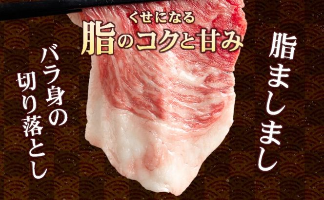 【2025年1月配送】【訳あり】佐賀牛入り 牛切り落とし1.5㎏（500g×3p）