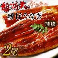 超特大！やわらか国内産うなぎ蒲焼220～250g 2尾　計440g以上|うなぎ 鰻 蒲焼 特大 茨城県 行方市(AD-95-1)