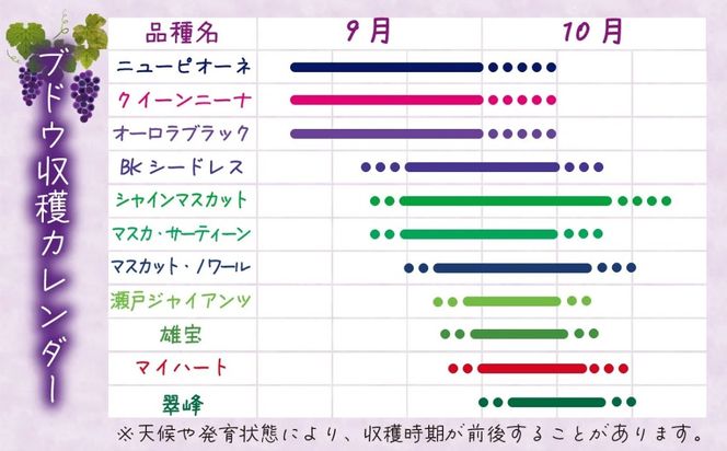 【2026年先行予約】岡山 花笑み農園の『シャインマスカット』７００ｇ以上（大１房）S-大1 / ぶどう 葡萄 岡山 シャイン シャインマスカット フルーツ 果物 真庭市 【hana080-01】