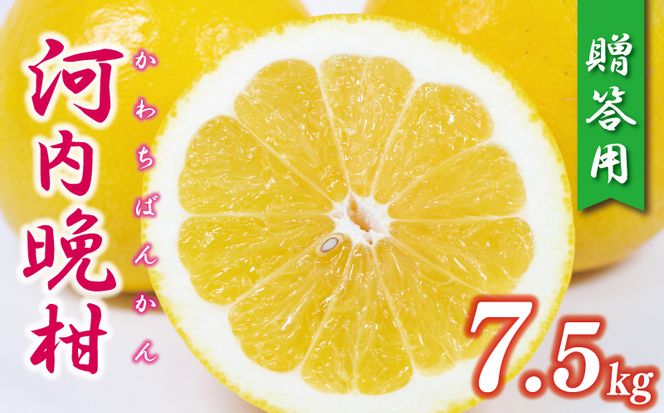 贈答用 河内晩柑 樹齢 30年以上 7.5kg （ サイズ ミックス ） 13000円 みかん mikan 蜜柑 ミカン かわちばんかん 愛南ゴールド あいなん ゴールド 文旦 派生 グレープフルーツ 和製 産地直送 国産 農家直送 期間限定 数量限定 特産品 ゼリー ジュース アイス 等に 人気 さわやか 甘い フルーツ 果物 柑橘 ギフト プレゼント 小玉 含む 果樹園みどり 愛南町 愛媛県