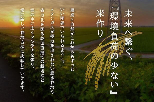 【新米受付】令和8年産 特別栽培米 つや姫 5kg U米MON 5kg×1袋 2026年産 ブランド米 米 国産 単一原料米 山形 庄内平野 コシヒカリの原点、亀の尾発祥の地 庄内【R8.10月以降発送開始/入金期限：2026年9月15日】