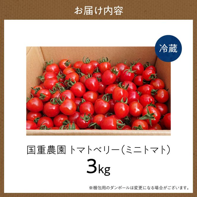 いちご型ミニトマト 「トマトベリー」 3Kg 自根栽培 濃厚 野菜 寒暖差 甘い 子供 サラダ_Y165-0001