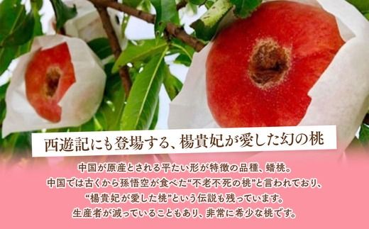 ◆2025年夏発送◆＜ 蟠桃・約2kg ＞  ※離島への配送不可 ※2025年7月下旬～8月中旬頃に順次発送予定