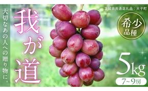 我が道 5kg (7～9房) 【2026年9月上旬発送開始】(茨城県共通返礼品：大子町) シャインマスカット ウインク 葡萄 ブドウ ぶどう 果物 フルーツ 希少 新品種