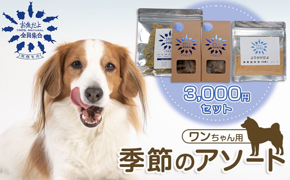 お魚だよ全員集合 季節のアソートセット 3,000円セット ワンちゃん用 141305_KY01