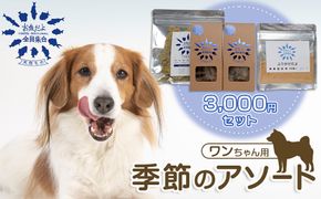 お魚だよ全員集合　季節のアソートセット 3,000円セット　ワンちゃん用｜ペット おやつ 犬 ペットフード 141305_KY01