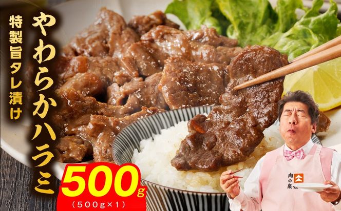 y{򍲖szmrz0348 炩n~ 500gyXn×|_ t 󂠂 TCYs  Ă ēz