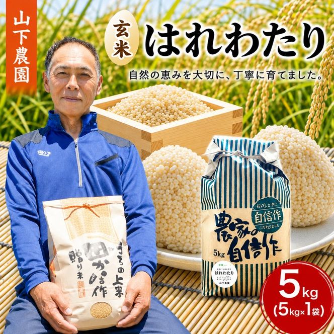 米 令和8年産 はれわたり 玄米 5kg 1袋 こめ お米 おこめ コメ ご飯 ごはん 令和8年 山下農園 青森 青森県