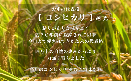 【令和7年産】四万十市産 コシヒカリ 玄米 9kg 栽培期間中農薬・ 化学肥料・除草剤不使用 国産 こしひかり 2025年産 米 こめ コメ ご飯 高知 四万十 しまんと 農家直送 蕨岡の百姓 福留壯 オーガニック 25-0016