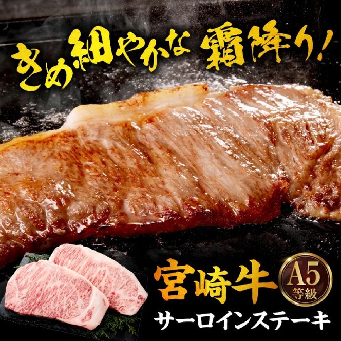 【A5等級宮崎牛】サーロインステーキ・切り落としセット1kg（小林市産 牛肉 和牛 特選 贅沢 厳選和牛 ブランド牛 ギフト 贈答）