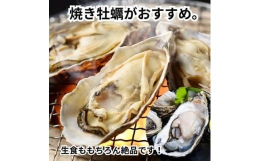 特上・篠島の殻付き真牡蠣1kgセット(生食用かき・CAS冷凍カキ)海鮮バーベキューBBQ、浜焼きに