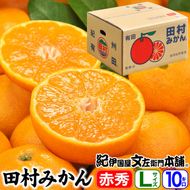 田村みかん/特選ギフト品10kg【Lサイズ】赤秀｜湯浅町田村地区産 産地直送 最高級 紀伊国屋文左衛門本舗