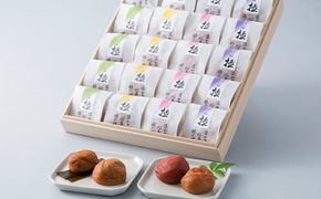 禅風味梅ぼし4種セット[高島屋選定品］ 梅干し 