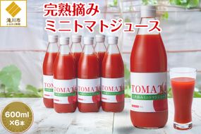 完熟摘みミニトマトジュース600ml 6本セット 北海道 無添加 無塩 100% とまと 滝川